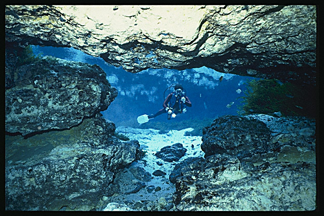 Img0012.jpg (51827 bytes)