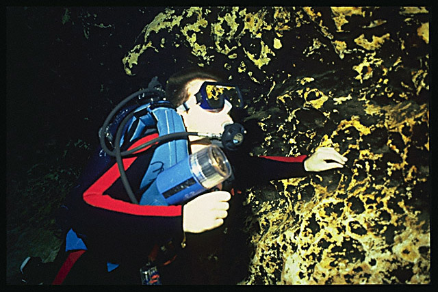 Img0015.jpg (51827 bytes)