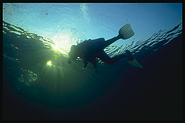 Img0024.jpg (51827 bytes)