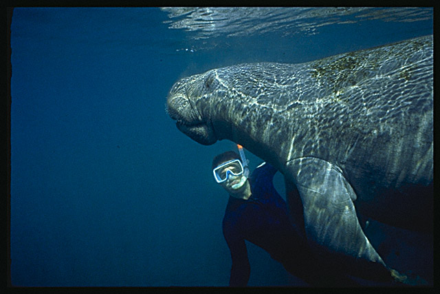 Img0028.jpg (51827 bytes)