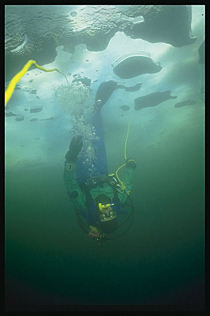 Img0035.jpg (51827 bytes)