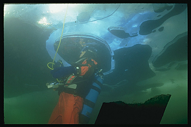 Img0036.jpg (51827 bytes)