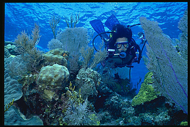 Img0062.jpg (51827 bytes)