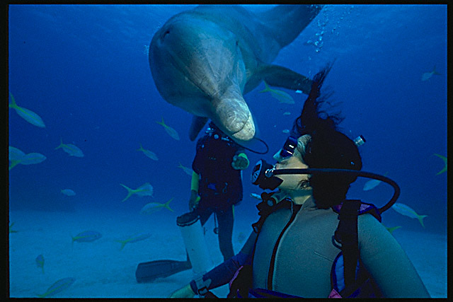 Img0063.jpg (51827 bytes)