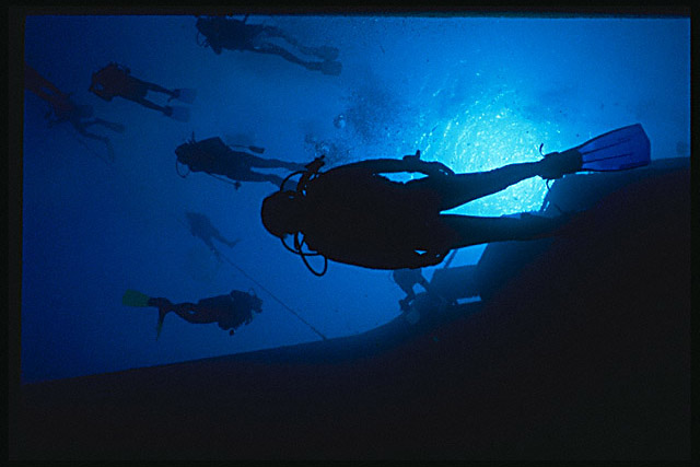 Img0070.jpg (51827 bytes)