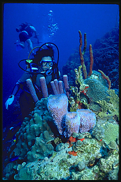 Img0079.jpg (51827 bytes)